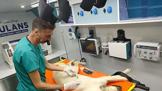 ''CAN DOSTLARIMIZIN 7/24 MOBİL HİZMETLE YANINDAYIZ ''