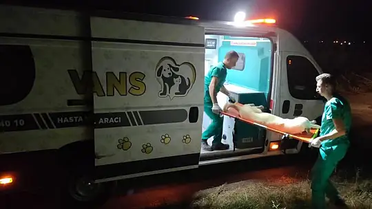 ''CAN DOSTLARIMIZIN 7/24 MOBİL HİZMETLE YANINDAYIZ ''