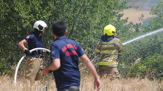 Balıkesir İtfaiyesi'nin 683 kahramanı 12 günde 971 yangına müdahale etti