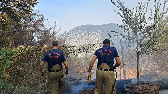 Balıkesir İtfaiyesi ve Can Dost ekibi Bursa'da görev başında