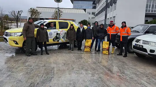 Sokak Hayvanları Devletin Şefkatli Ellerinde