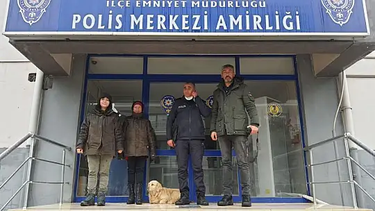 Sokak Hayvanları Devletin Şefkatli Ellerinde