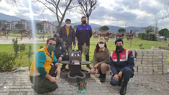 Sokak Hayvanları Devletin Şefkatli Ellerinde