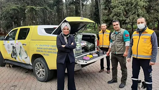 Sokak Hayvanları Devletin Şefkatli Ellerinde
