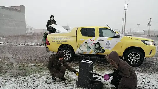 Vali Şıldak'tan Sokak Hayvanları İçin Çağrı