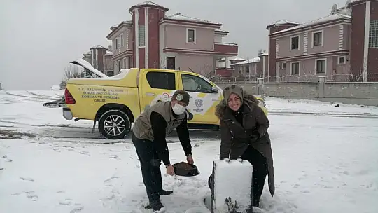 Vali Şıldak'tan Sokak Hayvanları İçin Çağrı