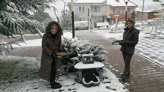 Vali Şıldak'tan Sokak Hayvanları İçin Çağrı