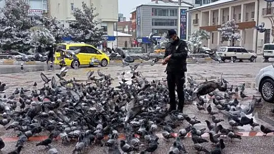 Vali Şıldak'tan Sokak Hayvanları İçin Çağrı