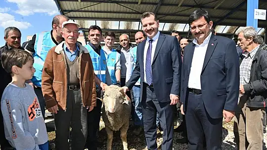 Büyükşehir'den, Yerli Üreticiye Damızlık Koç Desteği