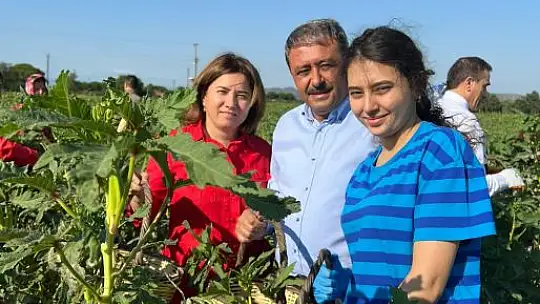 Vali Şıldak Çiftçilerle Bamya Hasat Etti