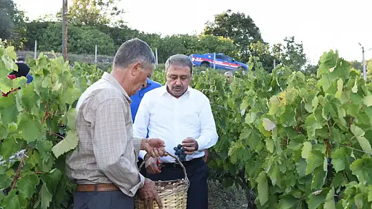 Üzümün Yolculuğuna Tanıklık Ettiler