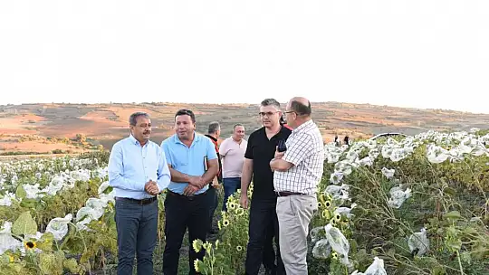 Tarım Şehrinde Her Mevsim Hasat Var