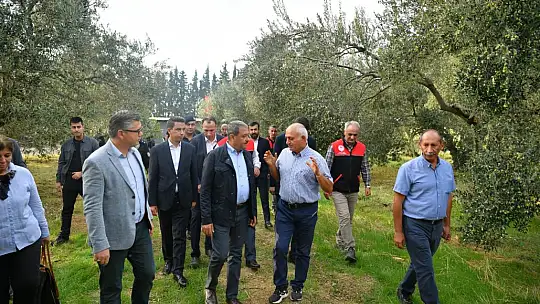 Zeytinde İnsansız Hava Aracı Projesinin İlk Denemesi Yapıldı