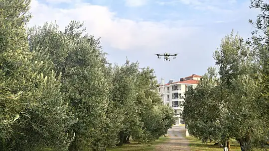 Zeytinde İnsansız Hava Aracı Projesinin İlk Denemesi Yapıldı