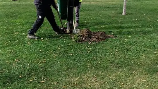 Şehitler Parkı'na Yeni Nesil Aydınlatma