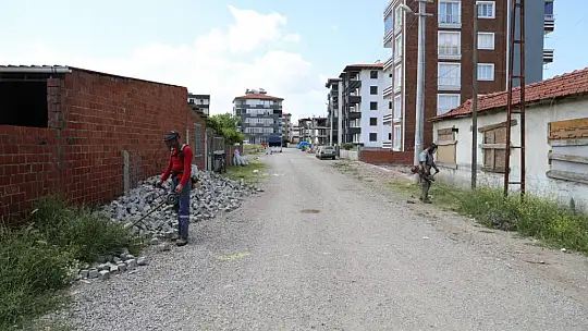 Tırpan Ve Temizlik Çalışmaları Sürüyor
