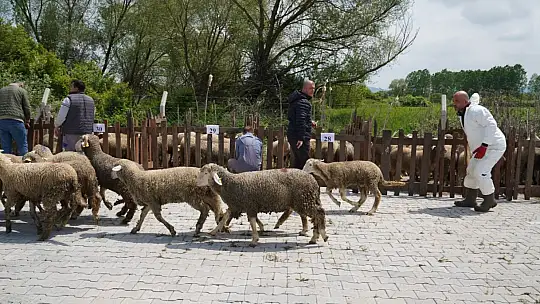 'TOPRAĞA VEFA, GELECEĞE BEREKET''