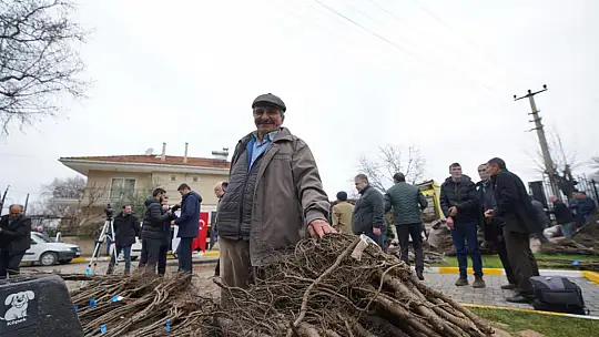 Büyükşehir'den üreticiye 150 bin fidan desteği