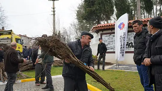 Büyükşehir'den üreticiye 150 bin fidan desteği