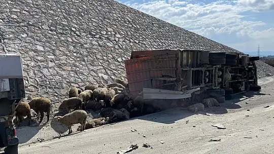 Otobanda Kaza  1 KİŞİ ÖLDÜ 52 KOYUN TELEF OLDU