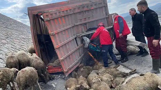 Otobanda Kaza  1 KİŞİ ÖLDÜ 52 KOYUN TELEF OLDU