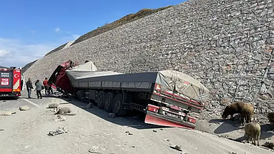 Otobanda Kaza  1 KİŞİ ÖLDÜ 52 KOYUN TELEF OLDU