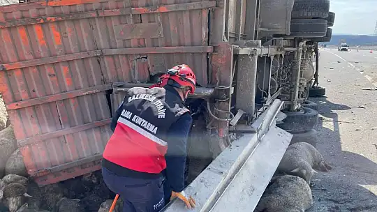 Otobanda Kaza  1 KİŞİ ÖLDÜ 52 KOYUN TELEF OLDU