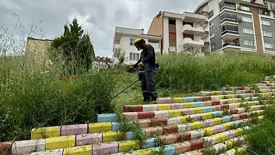 Karesi Sokak Sokak Yaza Hazırlanıyor