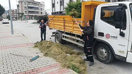 Karesi Sokak Sokak Yaza Hazırlanıyor