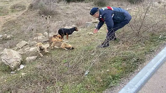 Can Dostlarımızı Yalnız Bırakmadık