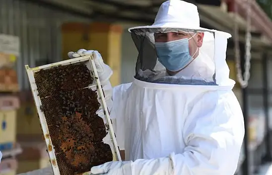 20 bin kraliçe evlerine uçtu