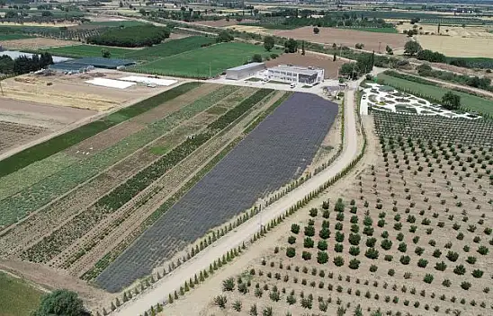 A'dan Z'ye Aromaterapi BAÇEM'de Konuşulacak