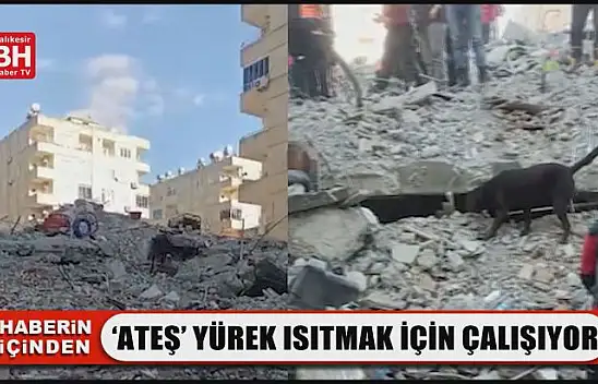 'Ateş' Yürek Isıtmak İçin Çalışıyor