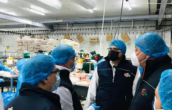 Balıkesir 39 Milyon Kanatlı Üretimi İle Türkiye'de İkinci Sırada…