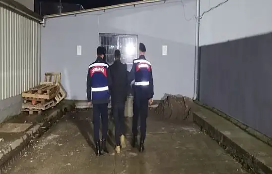 Bandırma'da Yazlık Evlere Giren Hırsız Yakalandı