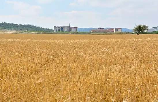 BAÜN'de Tarımsal Üretim Devam Ediyor