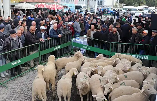 BBB, Yüzde 100 Hibe ile Koç Dağıttı