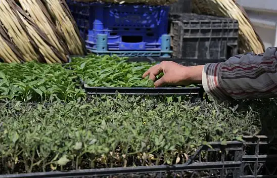 Büyükşehir, Bigadiç'in Yanında