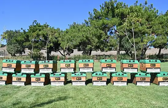 Büyükşehir Kırsalda Üreticinin Yanında