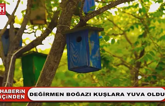 Değirmen Boğazı Kuşlara Yuva Oldu