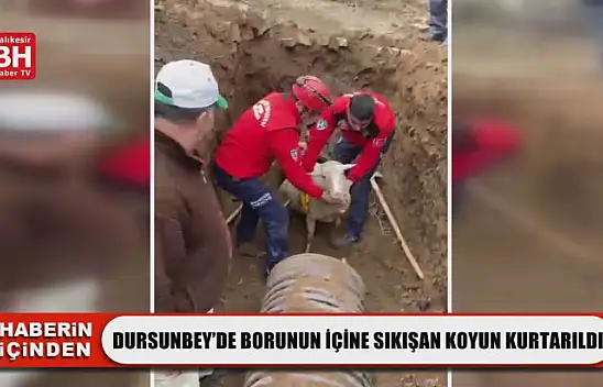 Dursunbey'de Borunun İçine Sıkışan Koyun Kurtarıldı