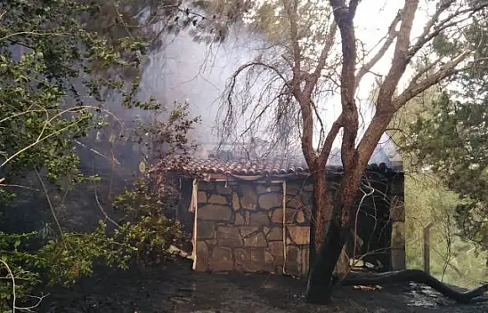 Edremit'te Orman Yangın