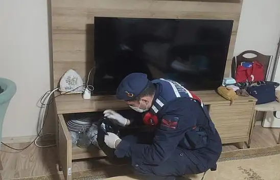 Fetö Operasyonu: 67 Şüpheli Yakalandı