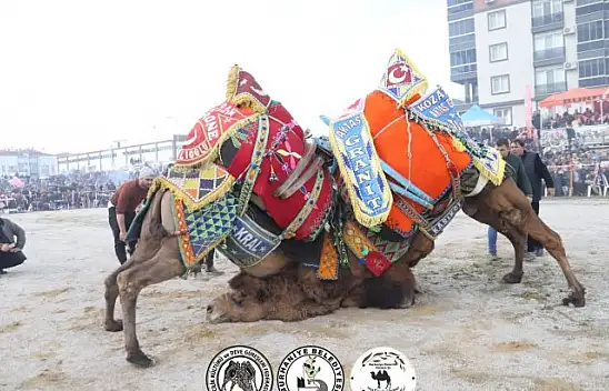 Güreşseverler Kararını Verdi 'Sezonun En İyi Güreşi Burhaniye'de Yapıldı'