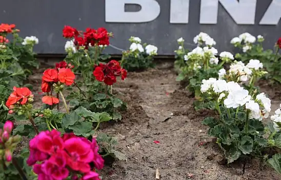 İvrindi'de Çiçekler Açtı