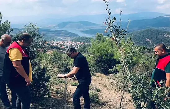 Karadut Suyu Yetiştiriciliğini Geliştirme Çalışmaları Sürüyor