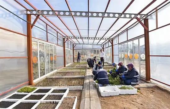 Karesi Belediyesi Kendi Çiçeklerini Üretiyor