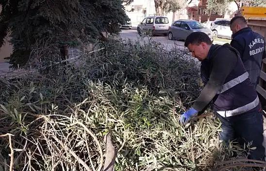 Karesi Belediyesi'nden Ağaçlara Kış Bakımı