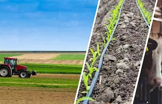 Kırsal Kalkınmada Destekler Artırıldı