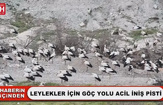 Leylekler İçin Göç Yolu Acil İniş Pisti